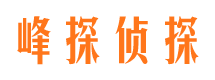 潘集侦探调查公司